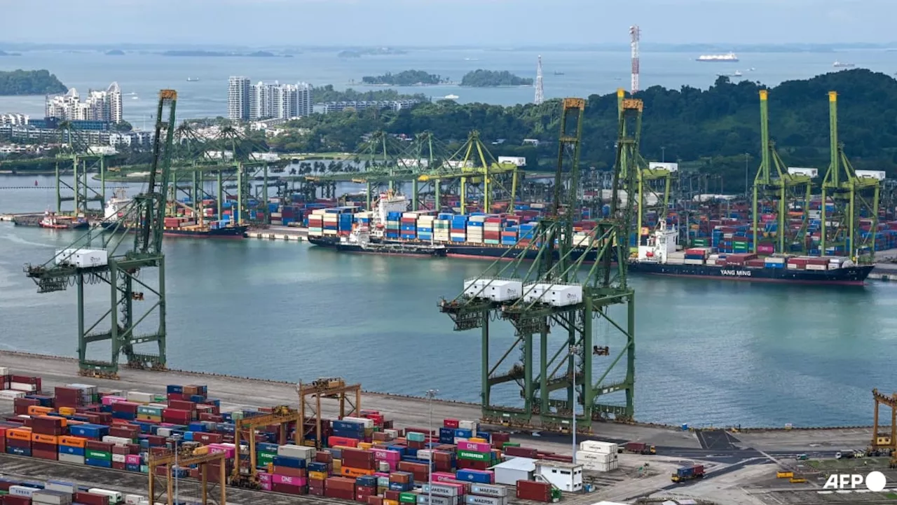 Singapore's Trade Deficit May Offer Protection Against US Tariffs