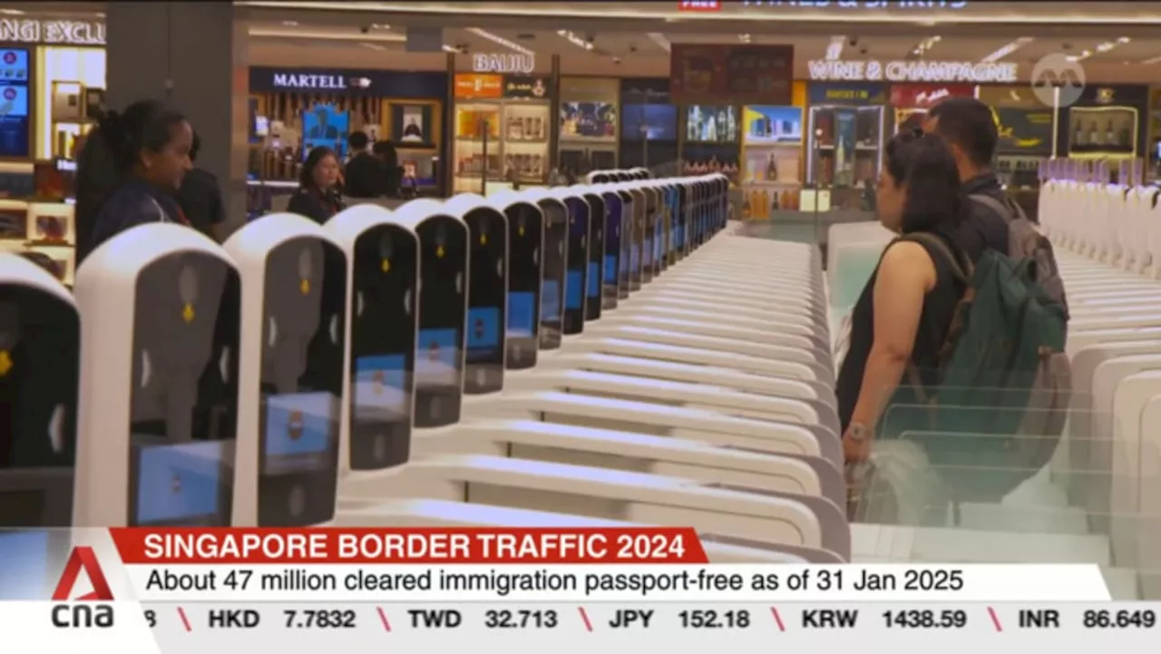 Singapore Sees Strong Travel Recovery with 230 Million Passports Cleared