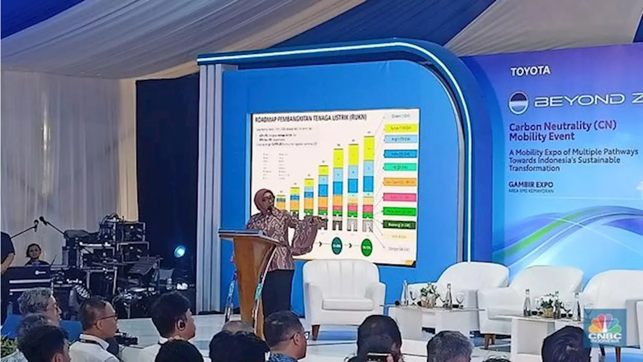 Indonesia Miliki Potensi Energi Terbarukan Besar, Tapi Realisasinya Masih Rendah