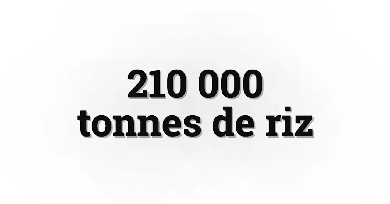 Le Japon débloque ses réserves de riz pour endiguer la flambée des prix