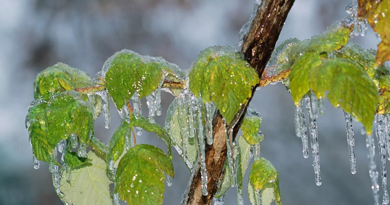 Freezing Rain Threatens UK Travel as Cold Snap Grips Nation