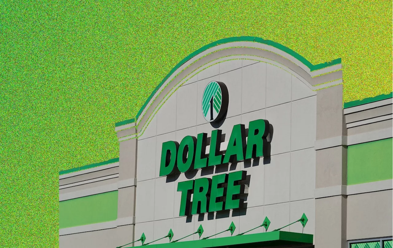 Dollar Tree Shopping Hacks: 15 Unbelievable Products You Need to Try