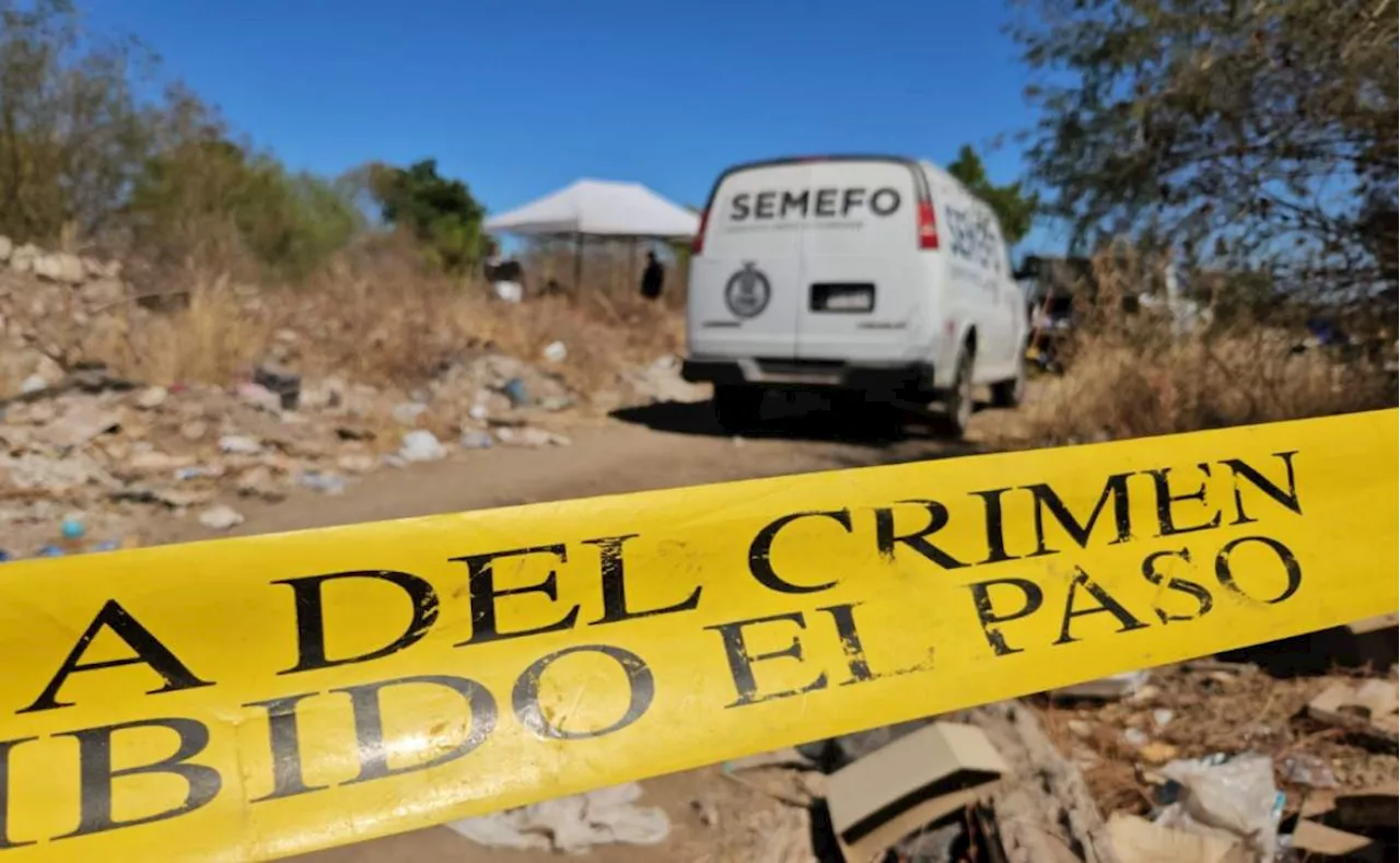 Colectivo “Sabuesos Guerreras” halla 4 osamentas en Culiacán, Sinaloa; continúa búsqueda de más restos humanos