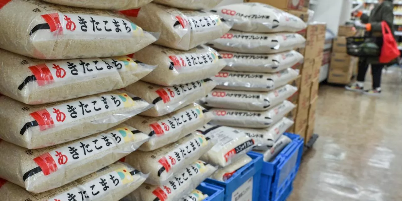 Japón libera reservas de arroz para combatir la inflación