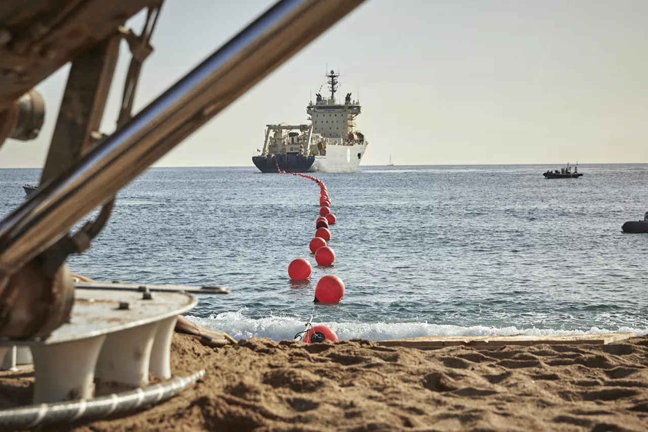 Meta confirms it's building its own subsea cable