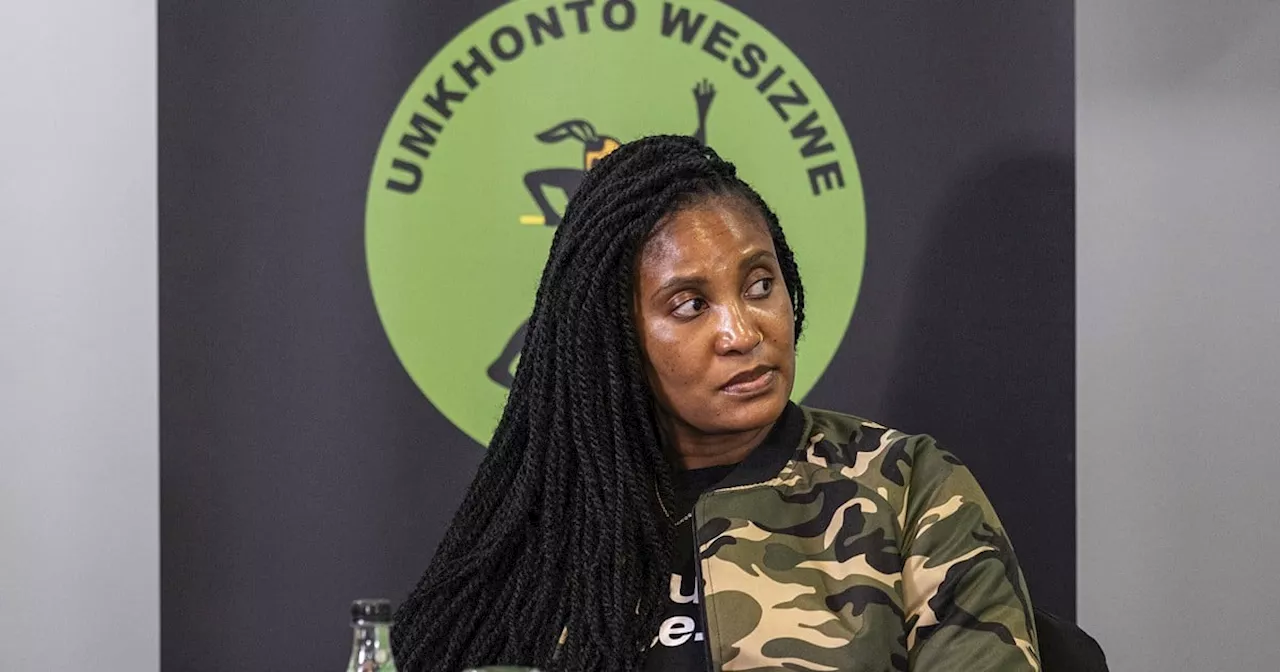 Zuma-Sambudla issues another apology for social media onslaught against Shivambu