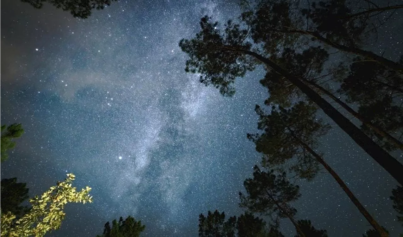 Landes de Gascogne Becomes Sixth International Dark Sky Reserve in France