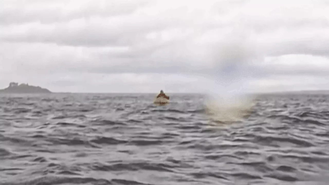 Kayaker Swallowed by Humpback Whale Off Chile Coast