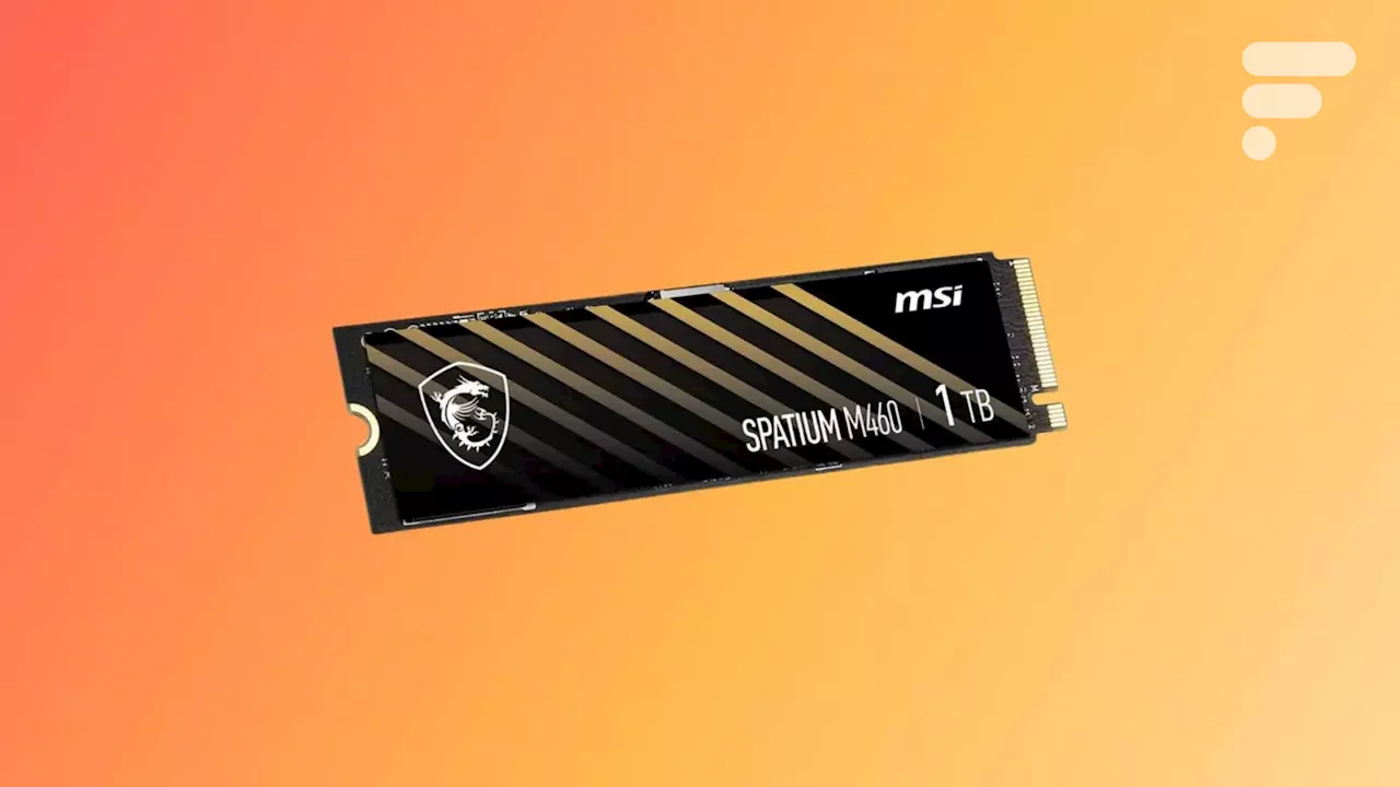 Le SSD MSI Spatium M460 1 To à 57,70 € : Une offre imbattable pour booster vos performances