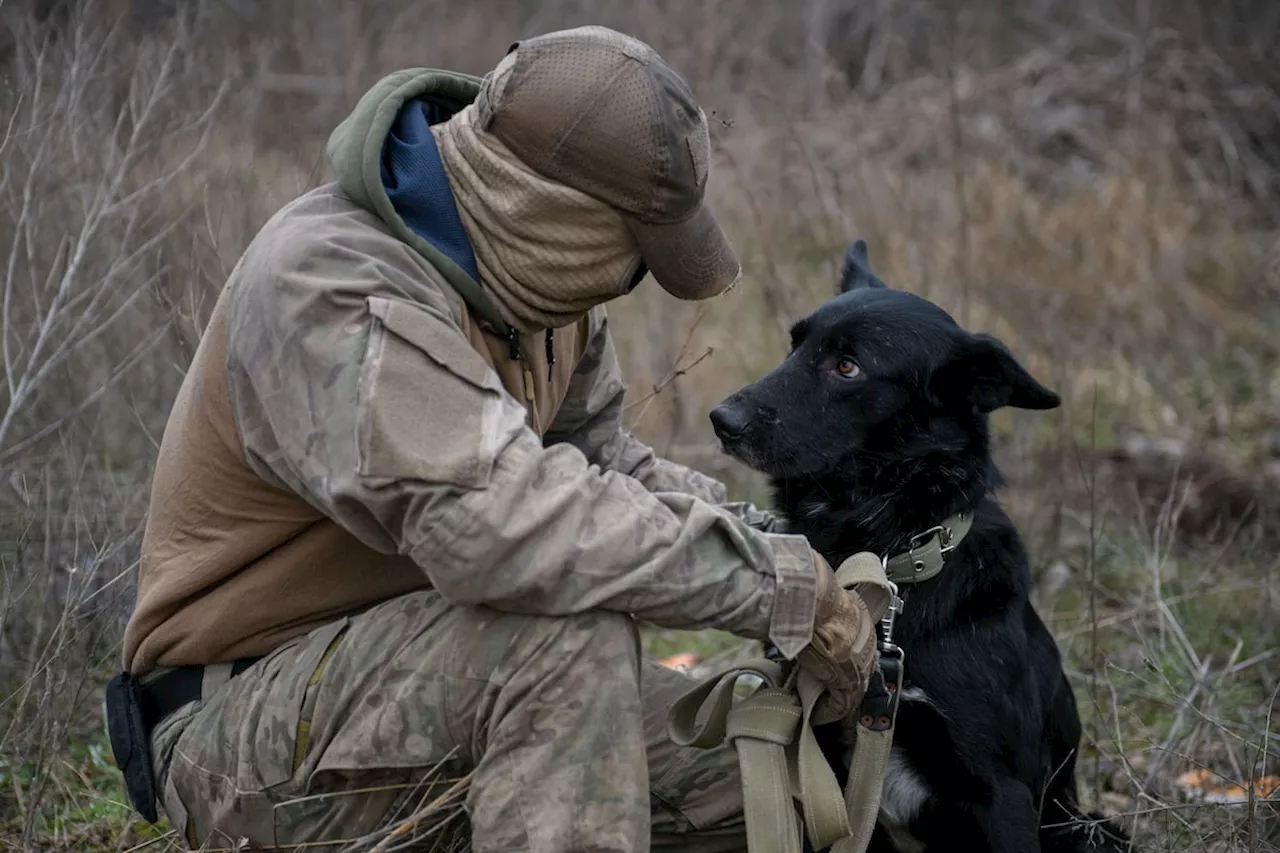 One dog’s journey from war-torn Ukraine to the snowy fields of Canada