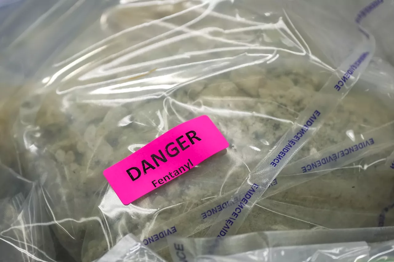 Fentanyl Package Sent from Canada to US Seized in Seattle