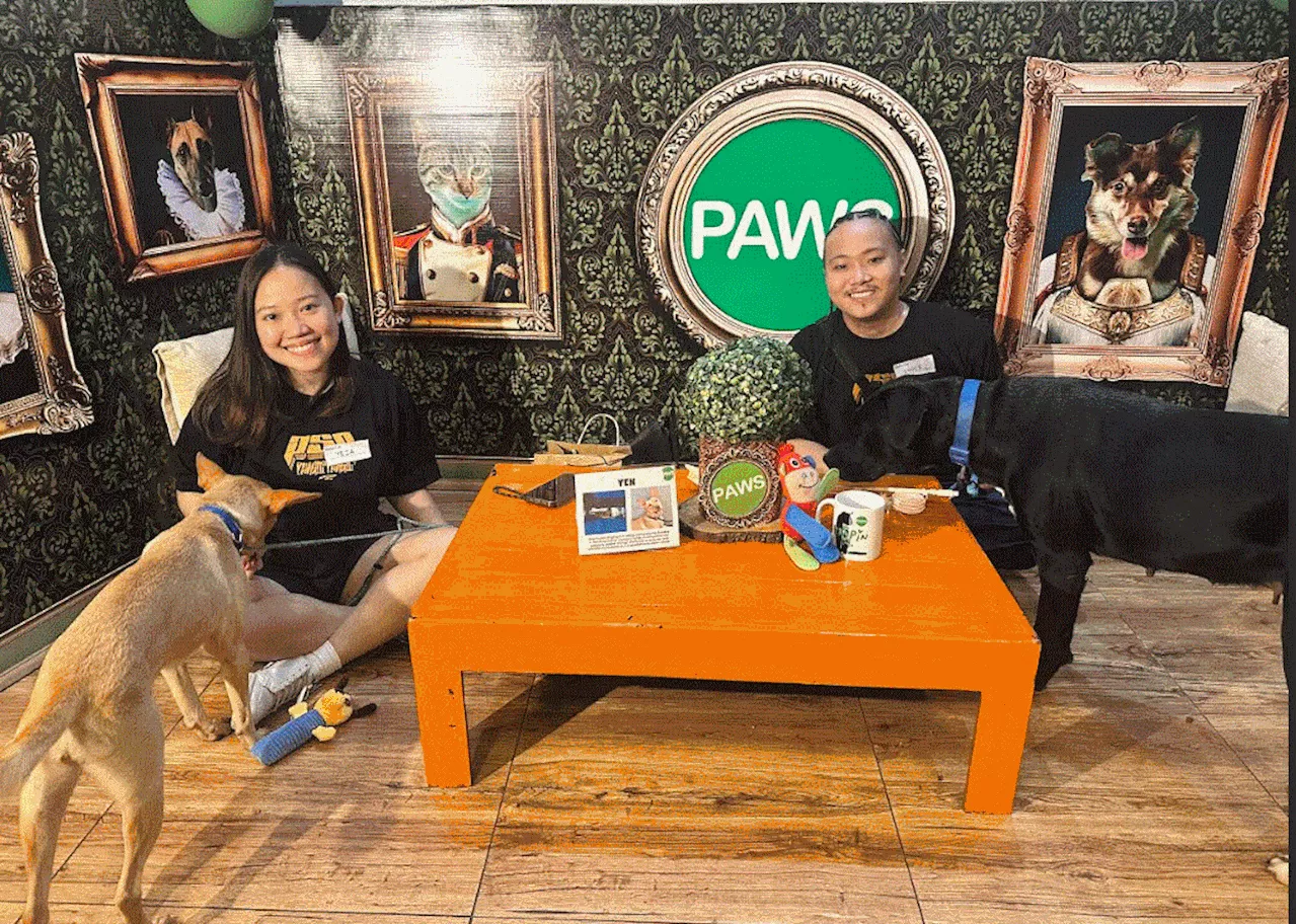 Rescued fur babies naka-bonding ang animal lovers ngayong Valentine’s day sa PAWS shelter