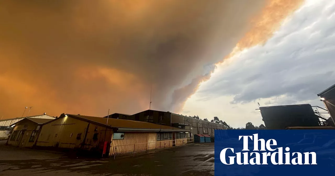 Tasmanian Wilderness Ravaged by Wildfires