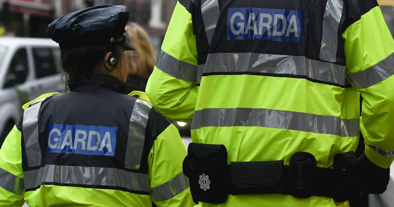 Multiple Shoplifters Arrested in Dublin Shopping Centre Raid