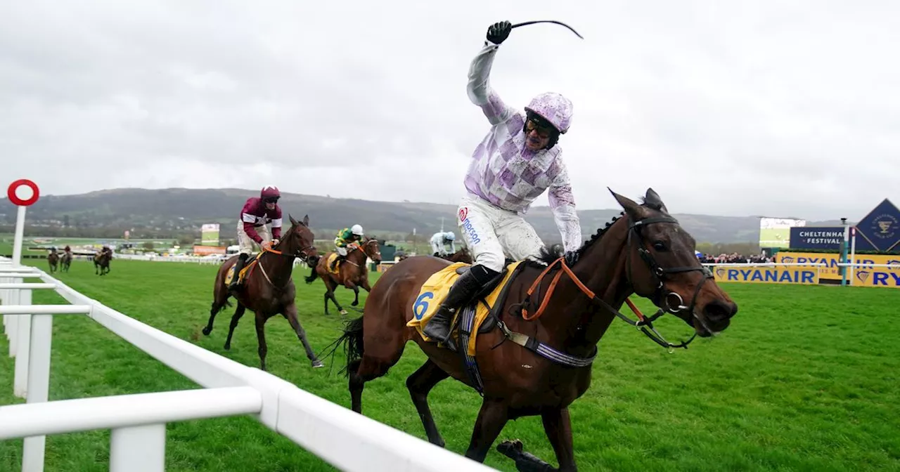 Richard Johnson Sees Value Bets in Cheltenham Gold Cup and Champion Hurdle