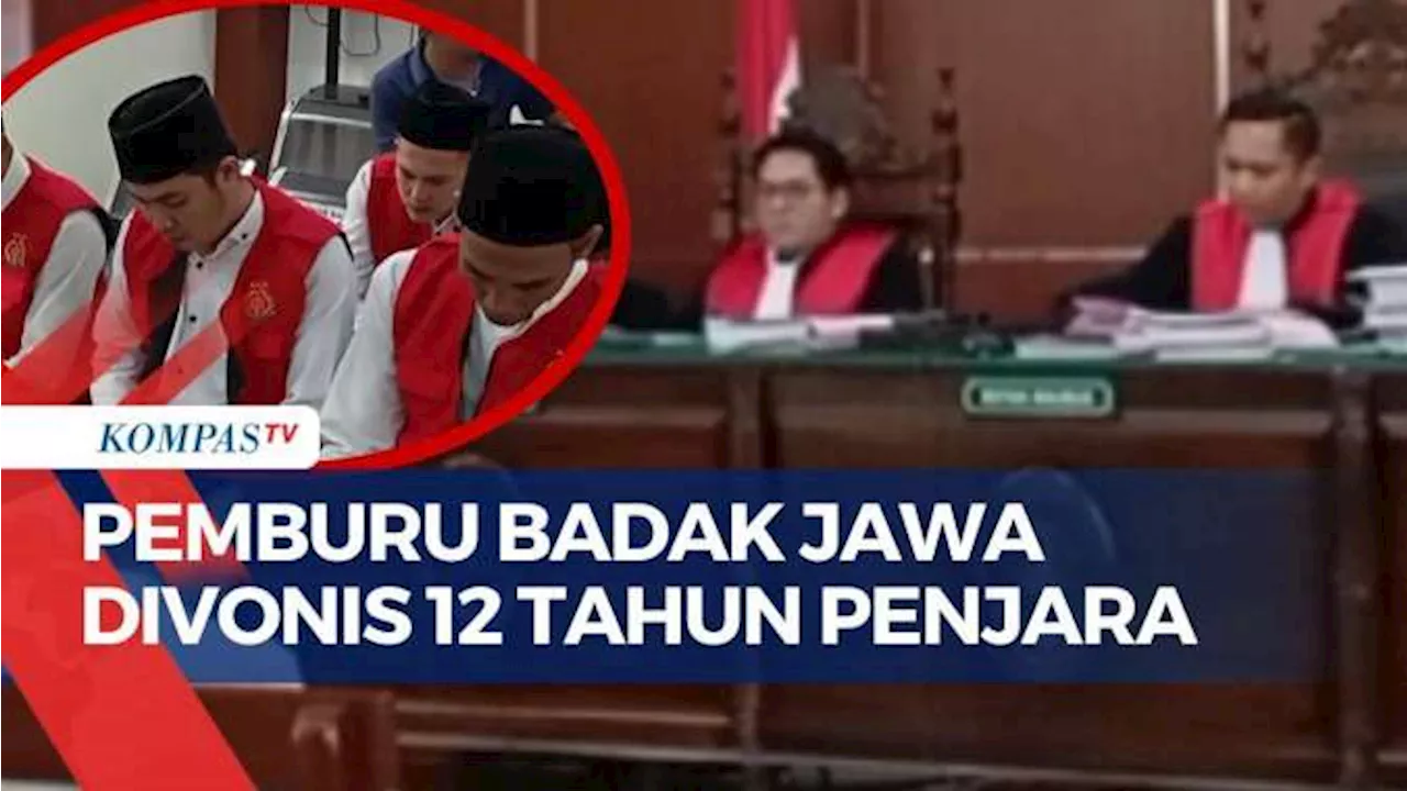 Keenam Terdakwa Perburuan Badak Jawa Divonis Lebih dari 11 Tahun Penjara