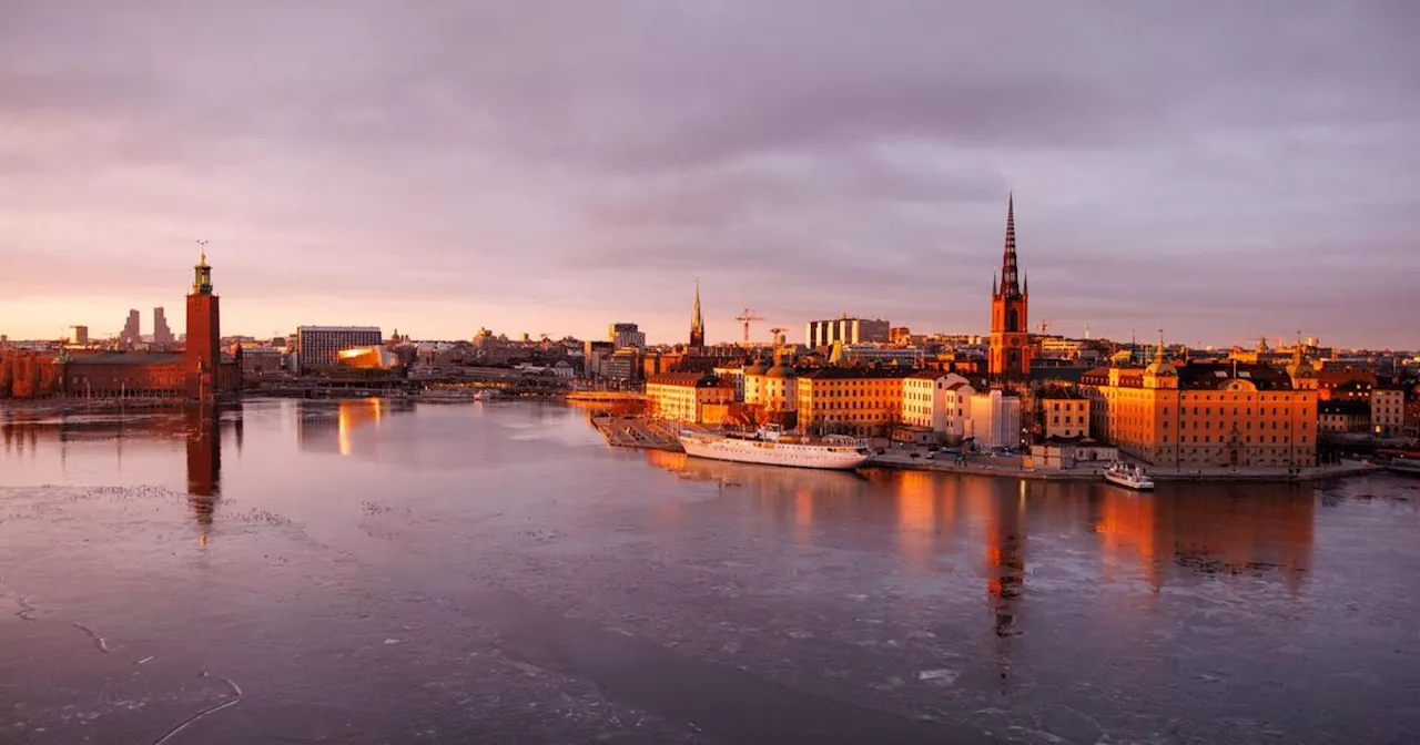 Les fans d’histoire et de champs de bataille cherchent l’amour dans un musée de Stockholm