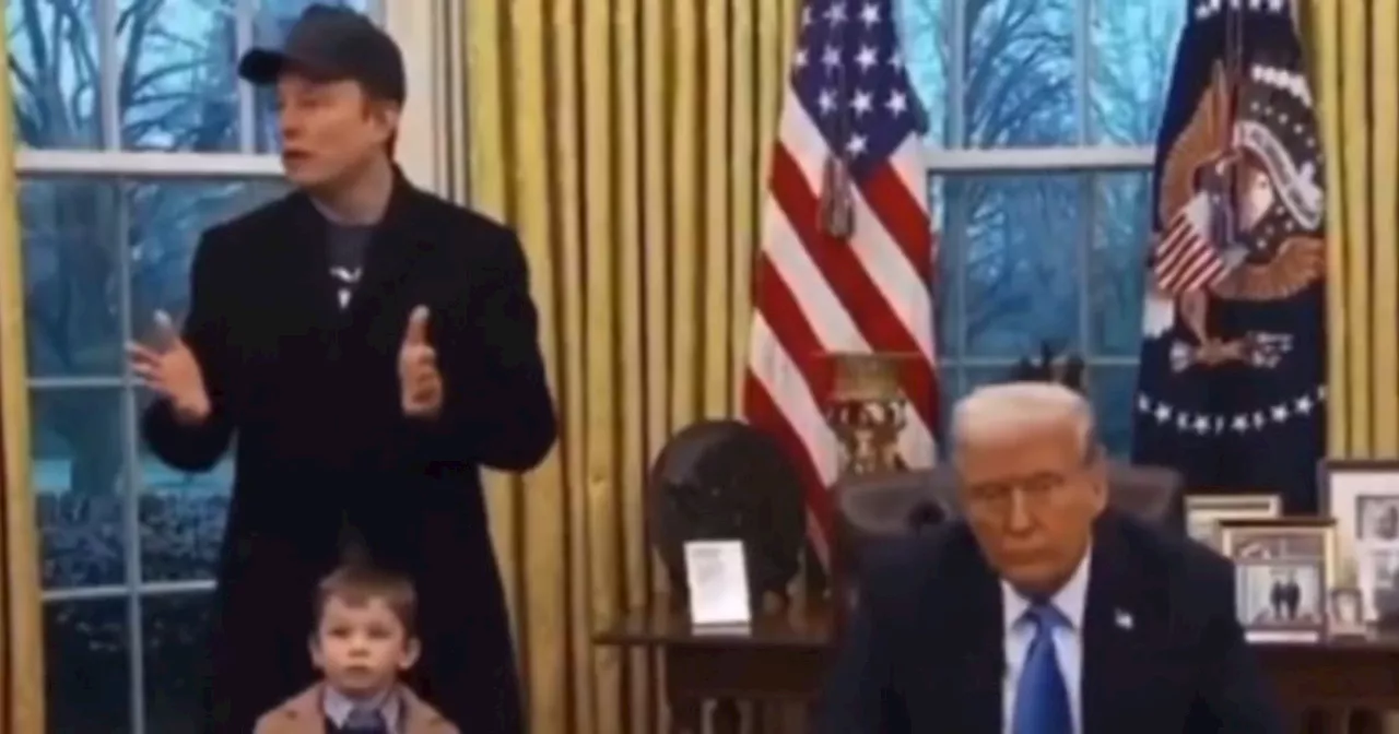 Elon Musk, il figlio insulta Trump: "Zitto, non sei il mio presidente. Devi andartene!"