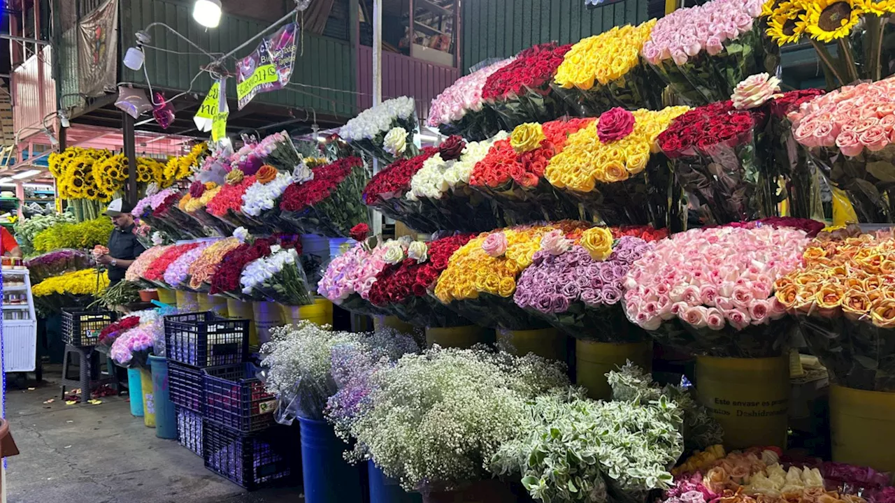 El Mercado de Jamaica: Encuentra Flores Baratas para San Valentín