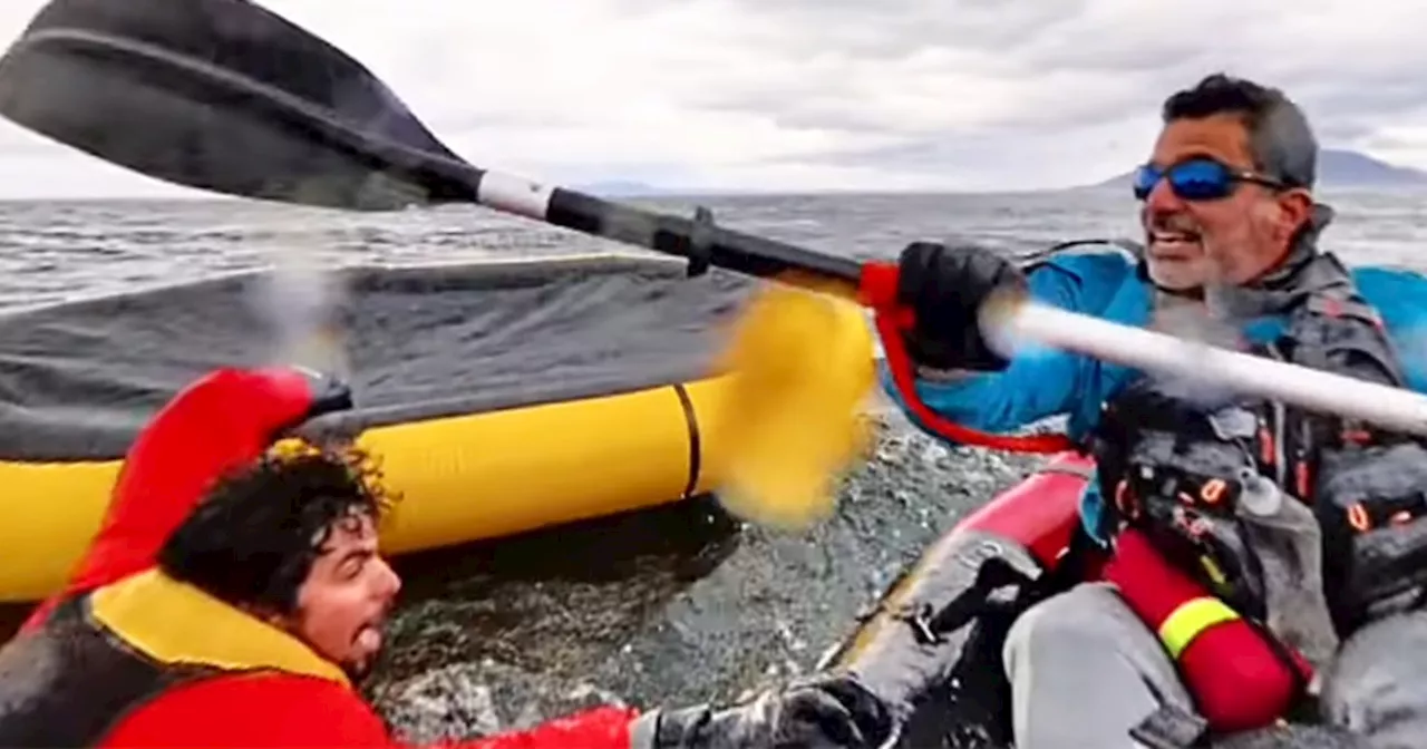 Kayaker Briefly Swallowed by Humpback Whale Off Chilean Patagonia