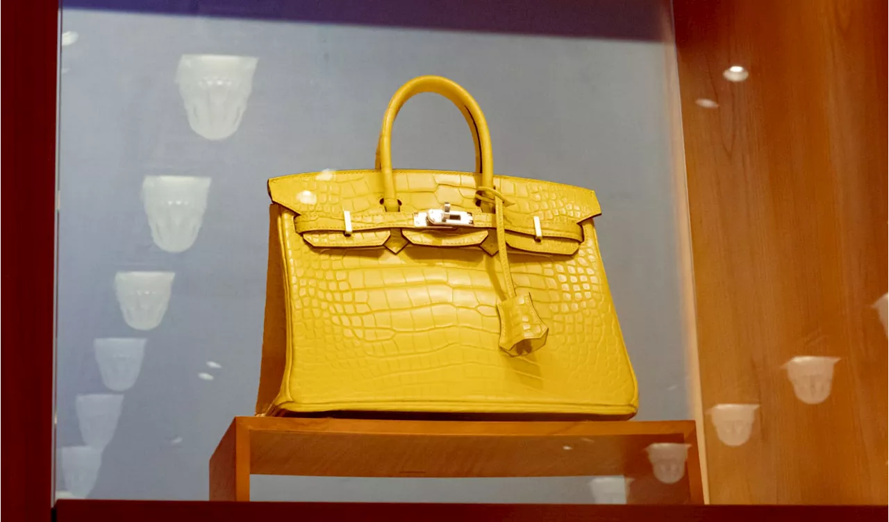 Hermes Surpasses Sales Expectations in Turbulent Luxury Market