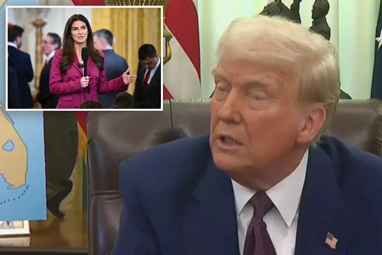 Trump Criticizes CNN's Kaitlan Collins During Oval Office Press Availability