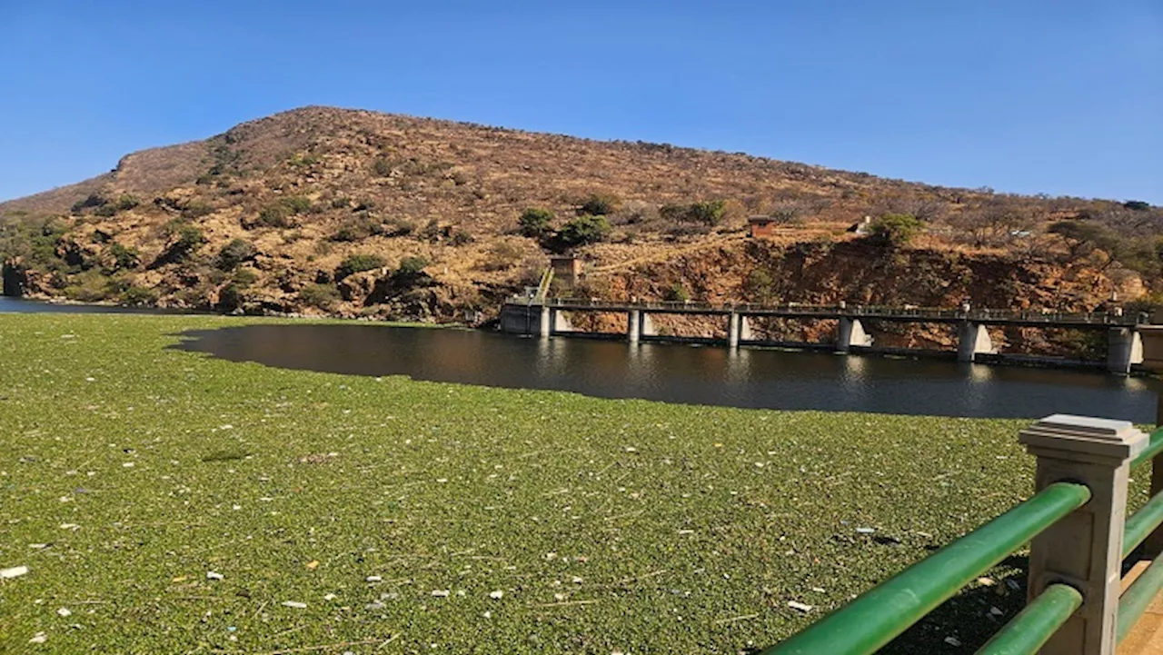 Hartbeespoort Dam pollution needs urgent intervention: Govt - SABC News - Breaking news, special reports, world, business, sport coverage of all South African current events. Africa's news leader.