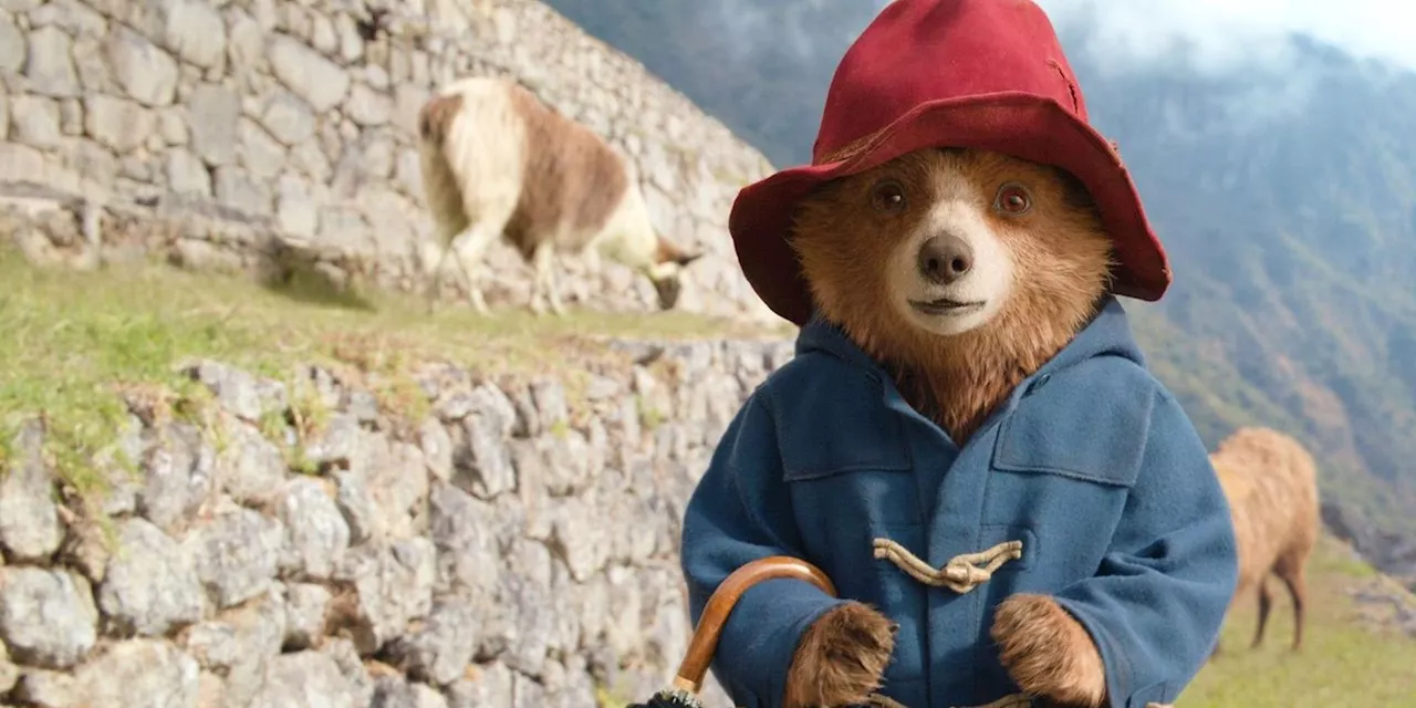 How Emily Mortimer's Mary Brown In Paddington In Peru Compares To Sally Hawkins' Version