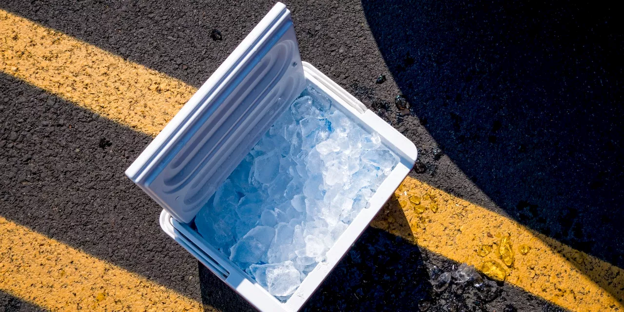 Igloo Rolling Coolers Recalled Due to Fingertip Injury Risk