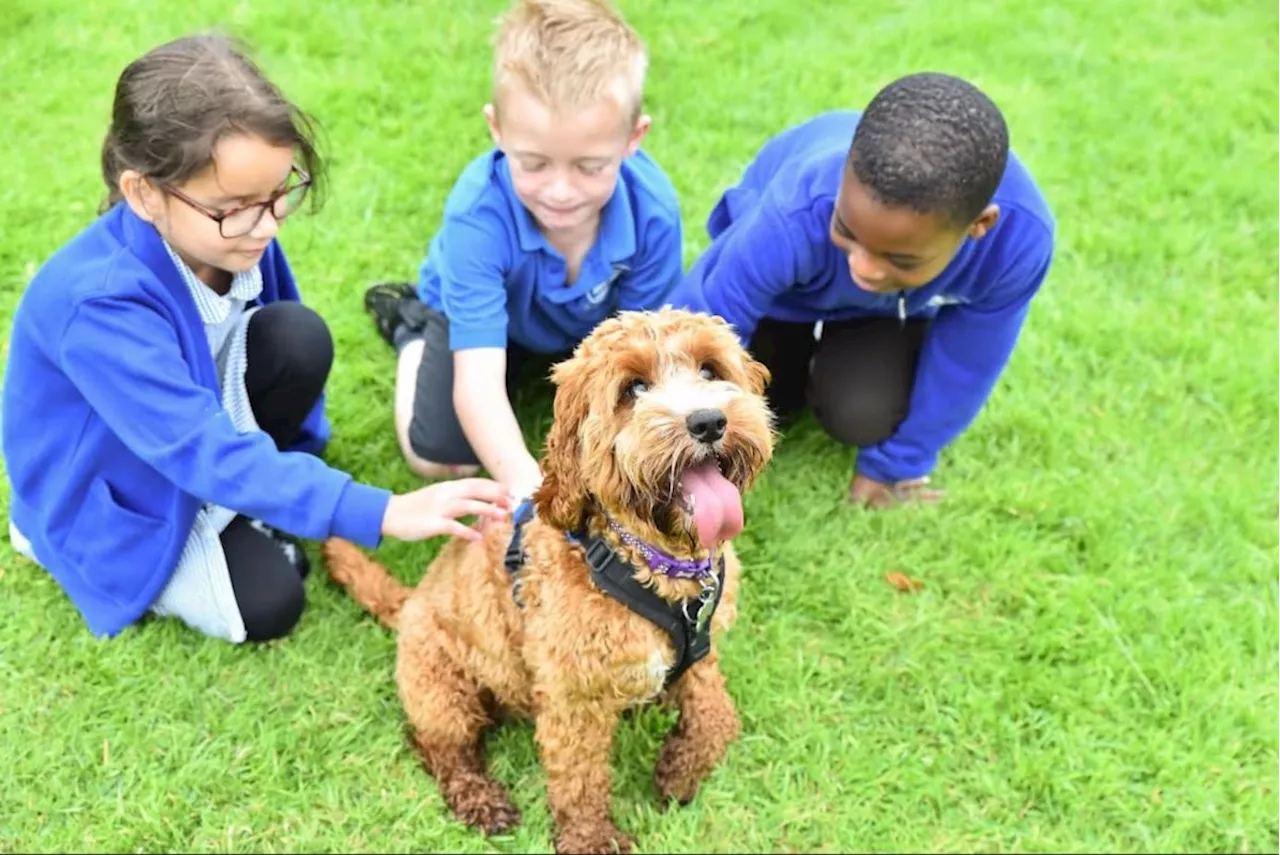 Wellington Primary School Celebrates 'Good' Ofsted Rating