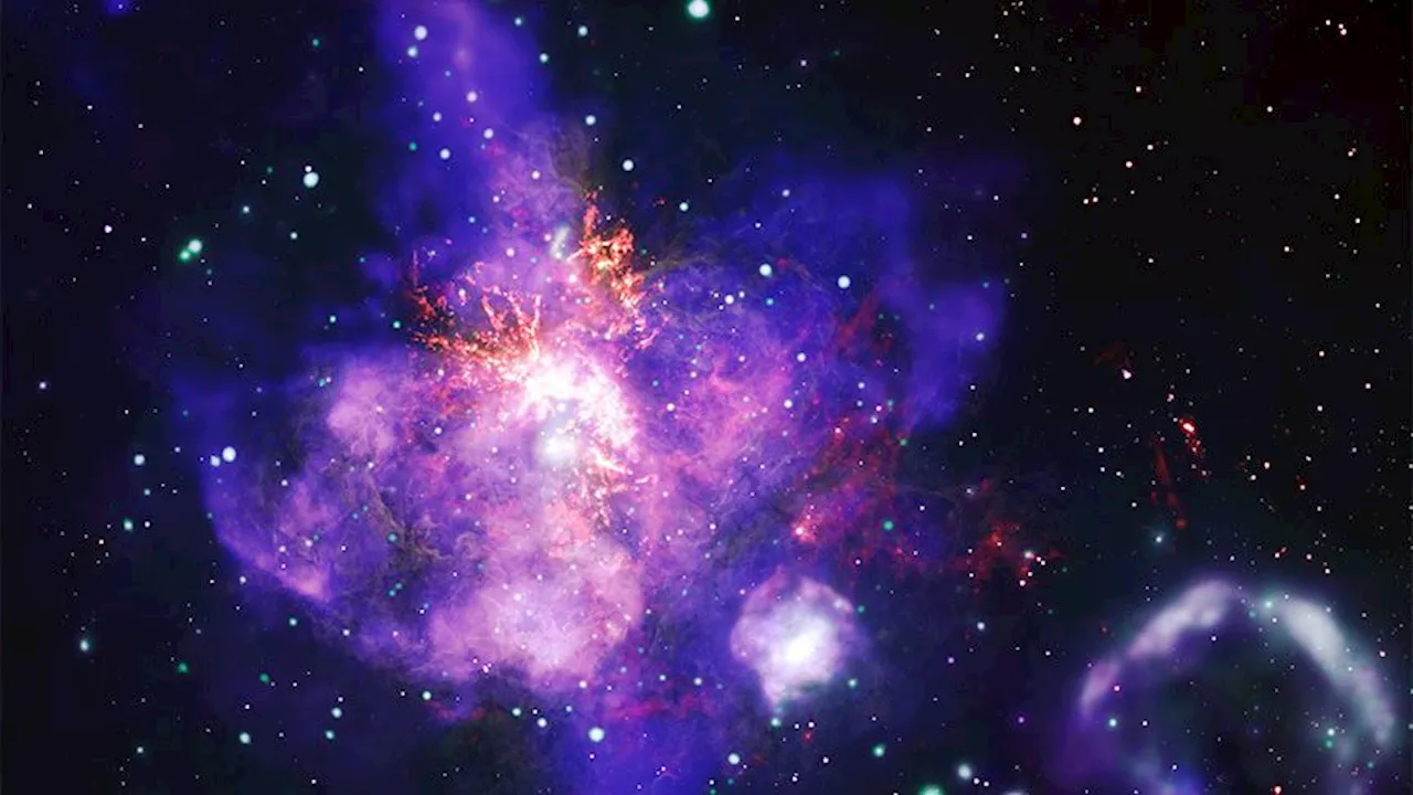 The Tarantula Nebula: A Cosmic Flower Growing From Star Death