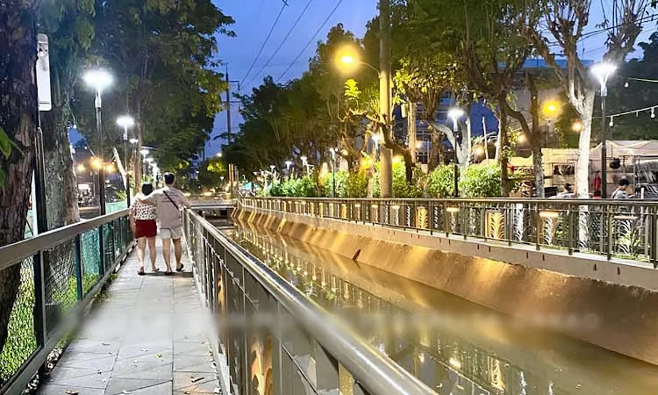 Roxas Greenway Park to open soon