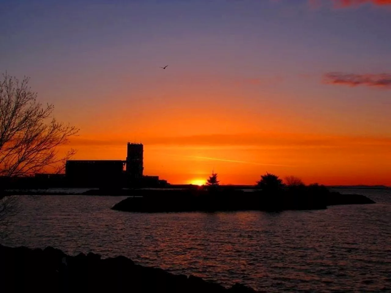 Valentine's Day in Thunder Bay: A Night Filled with Romance, Friendship, and Fun