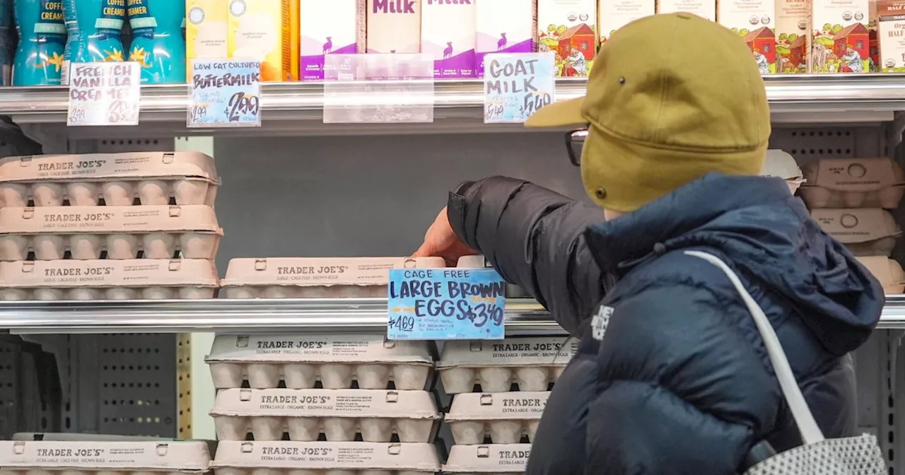 Trader Joe's Offers Affordable Egg Prices Amid National Egg Shortage