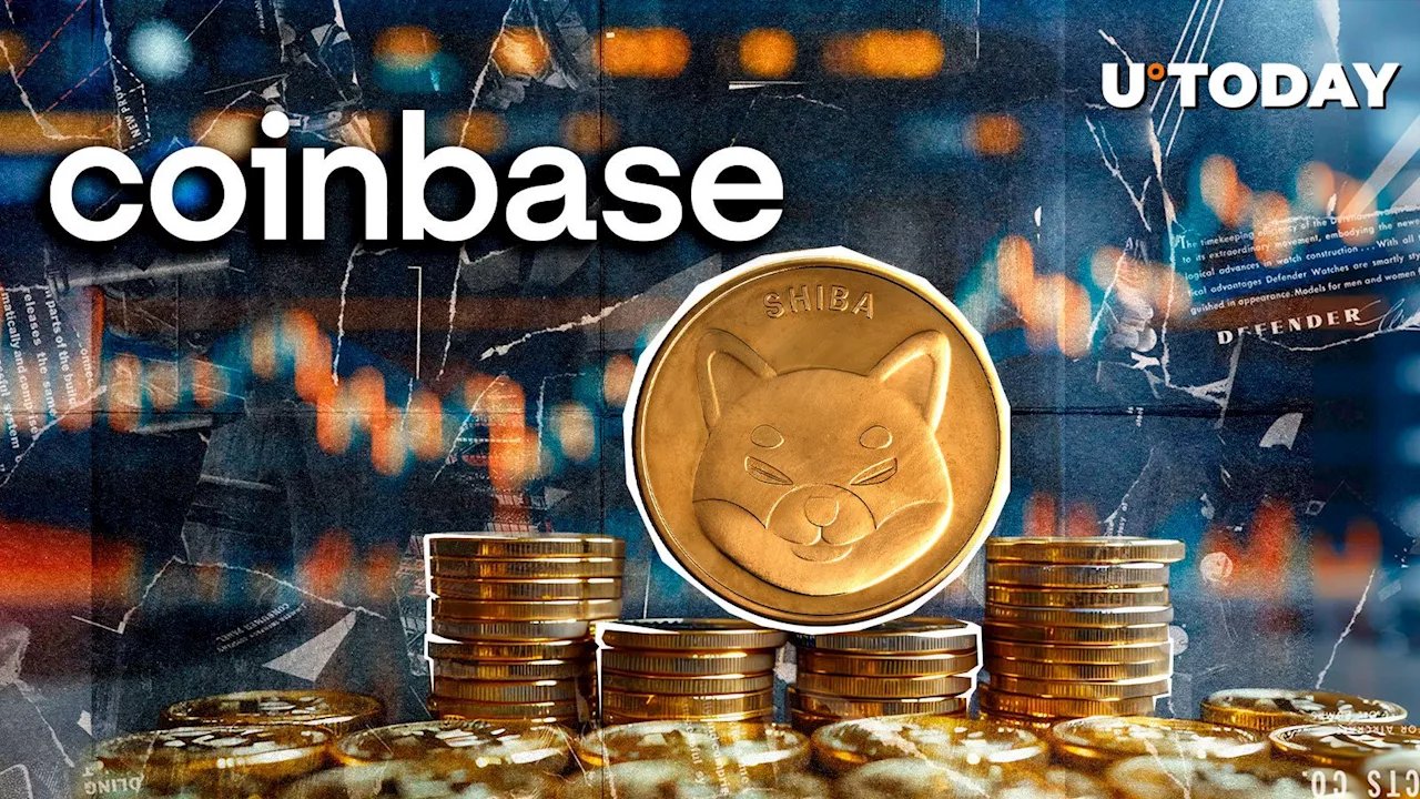 Massive SHIB Withdrawal Triggers Market Speculation