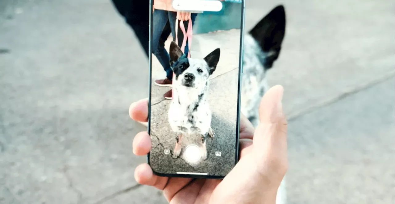 Apple Unveils Visual Intelligence: AI-Powered Camera Feature for iOS 18