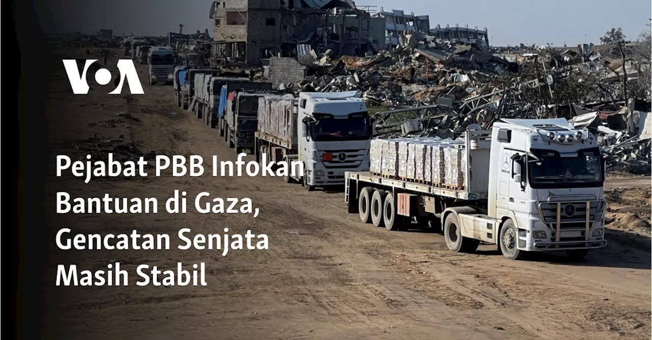 Pejabat PBB Infokan Bantuan di Gaza, Gencatan Senjata Masih Stabil