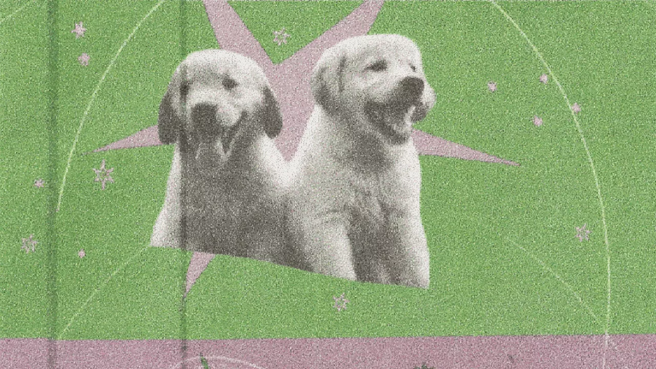 Dating Astrological Signs: A Gemini's Experiment