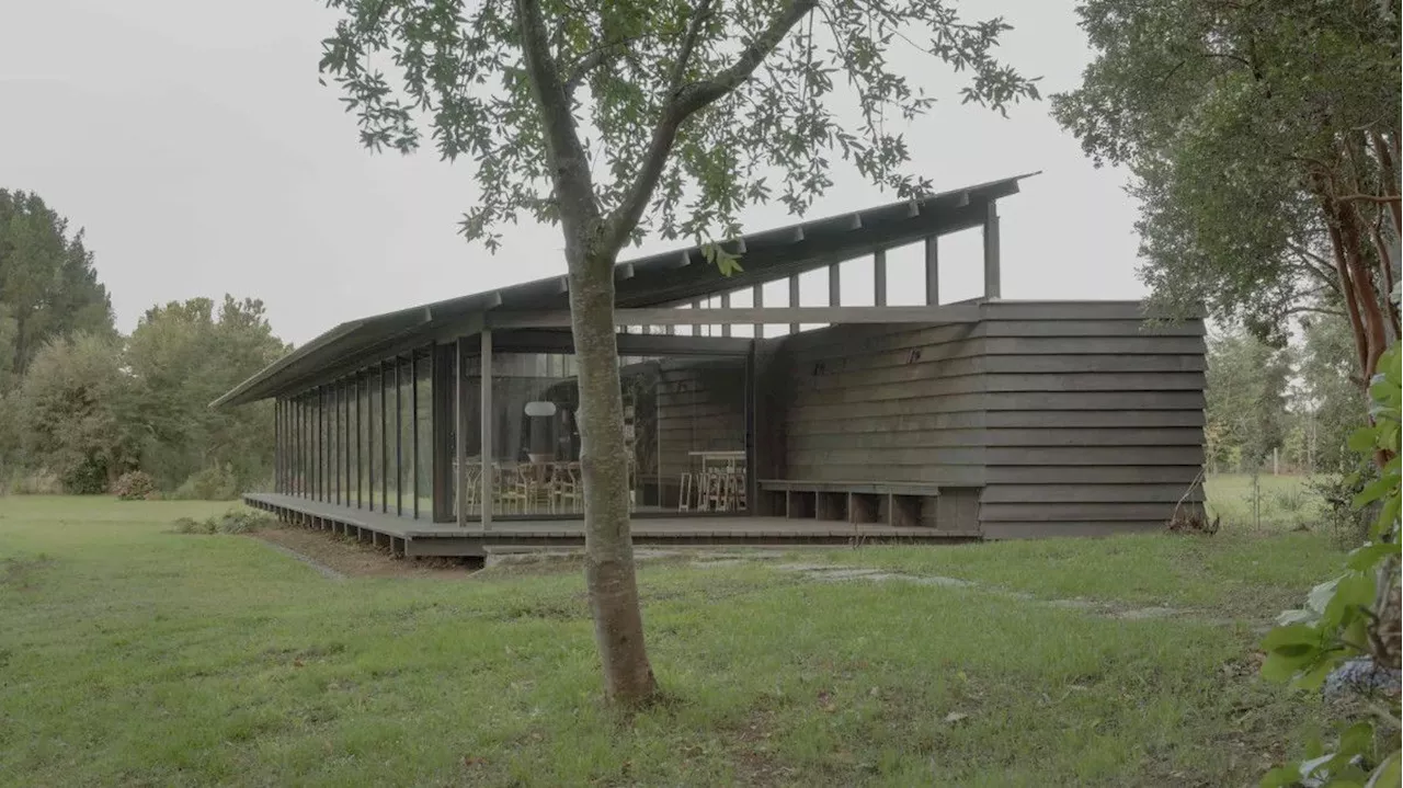 Casa Puerto Nuevo: A Trapezoidal Lakeside Cabin in Chile