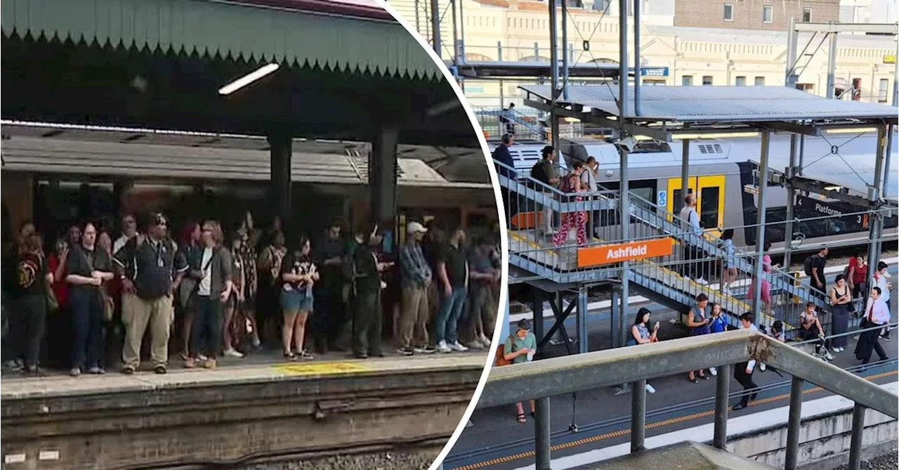 Sydney commuters bracing for another week of chaos as rail union awaits commission decision on industrial acti