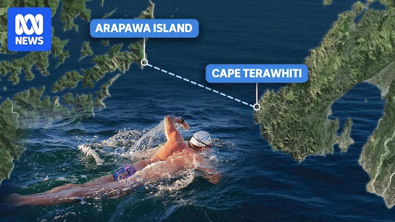 Ocean Swimmer's Double Crossing Dream Cut Short by Cook Strait