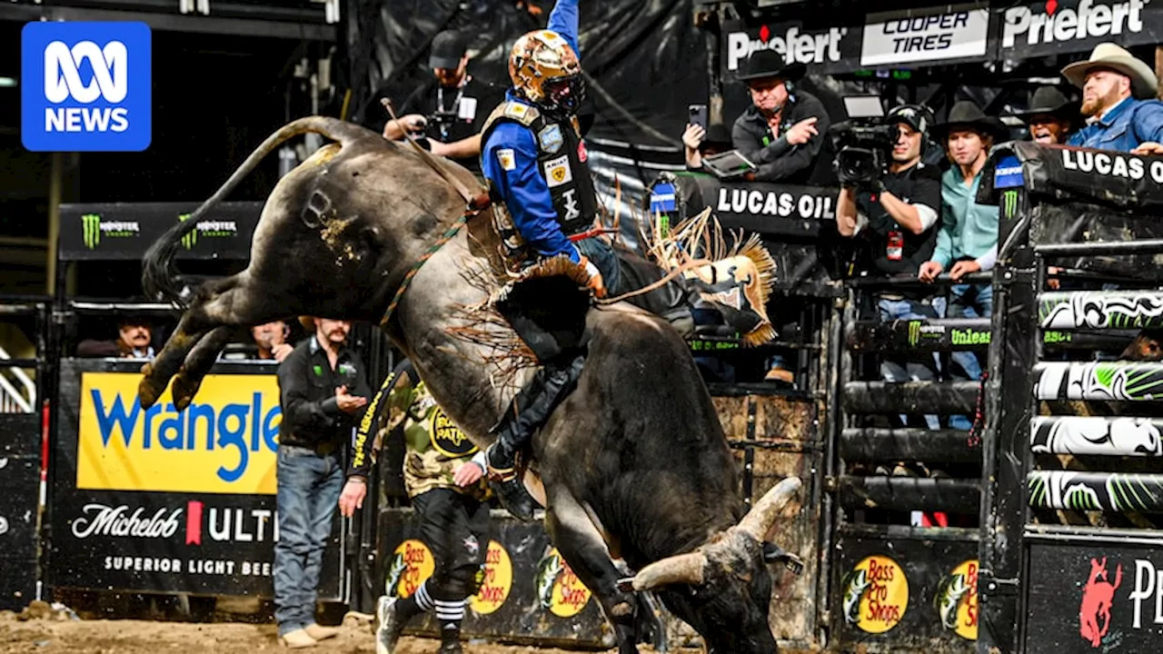 Queensland cowboy riding high towards drought-breaking world title and gold buckle