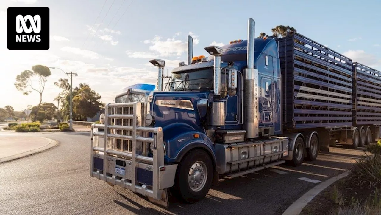 Roads minister reveals 'no meaningful work' on $1b Queensland inland freight route