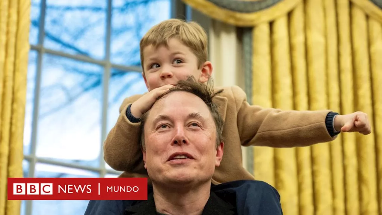 Los Hijos de Elon Musk: Presencia Política o Distraction?