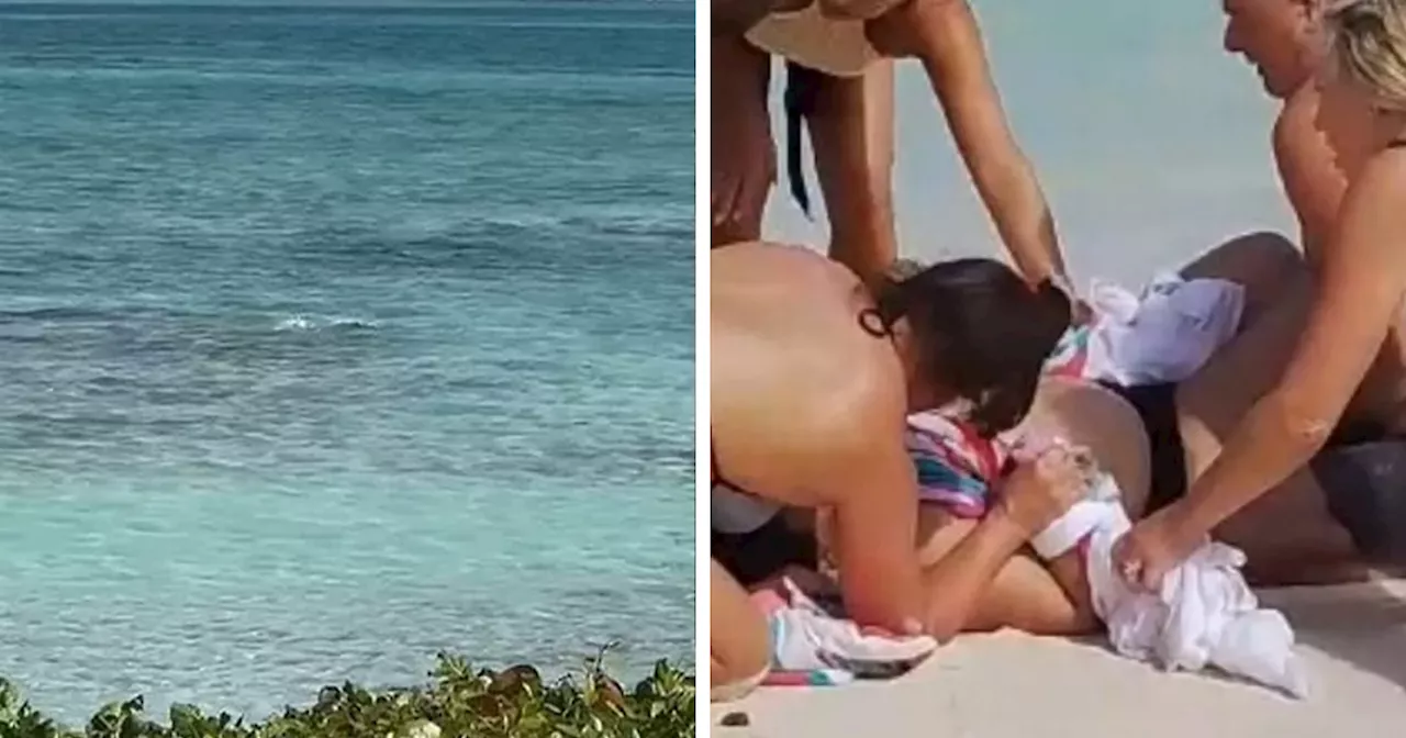 Tourist Loses Hands in Shark Attack While Trying to Take Photo