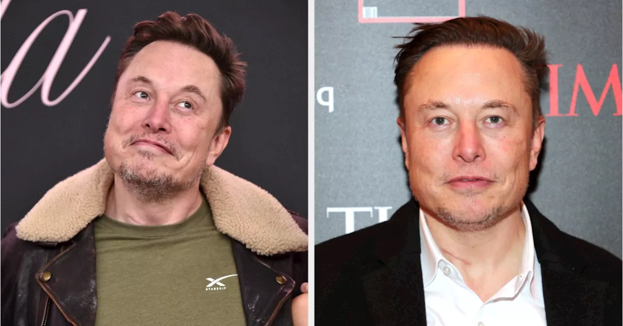 Elon Musk Allegedly Has 13th Child