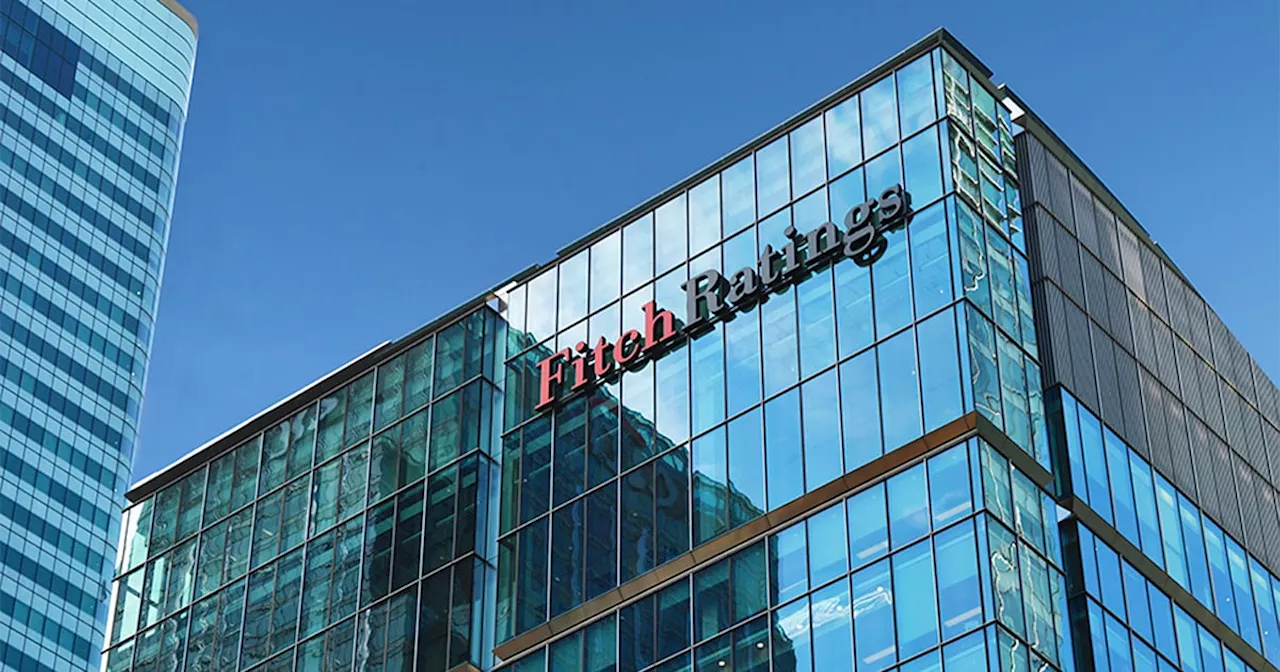 Fitch Halts Dangote Monitoring Amid Refinancing Woes