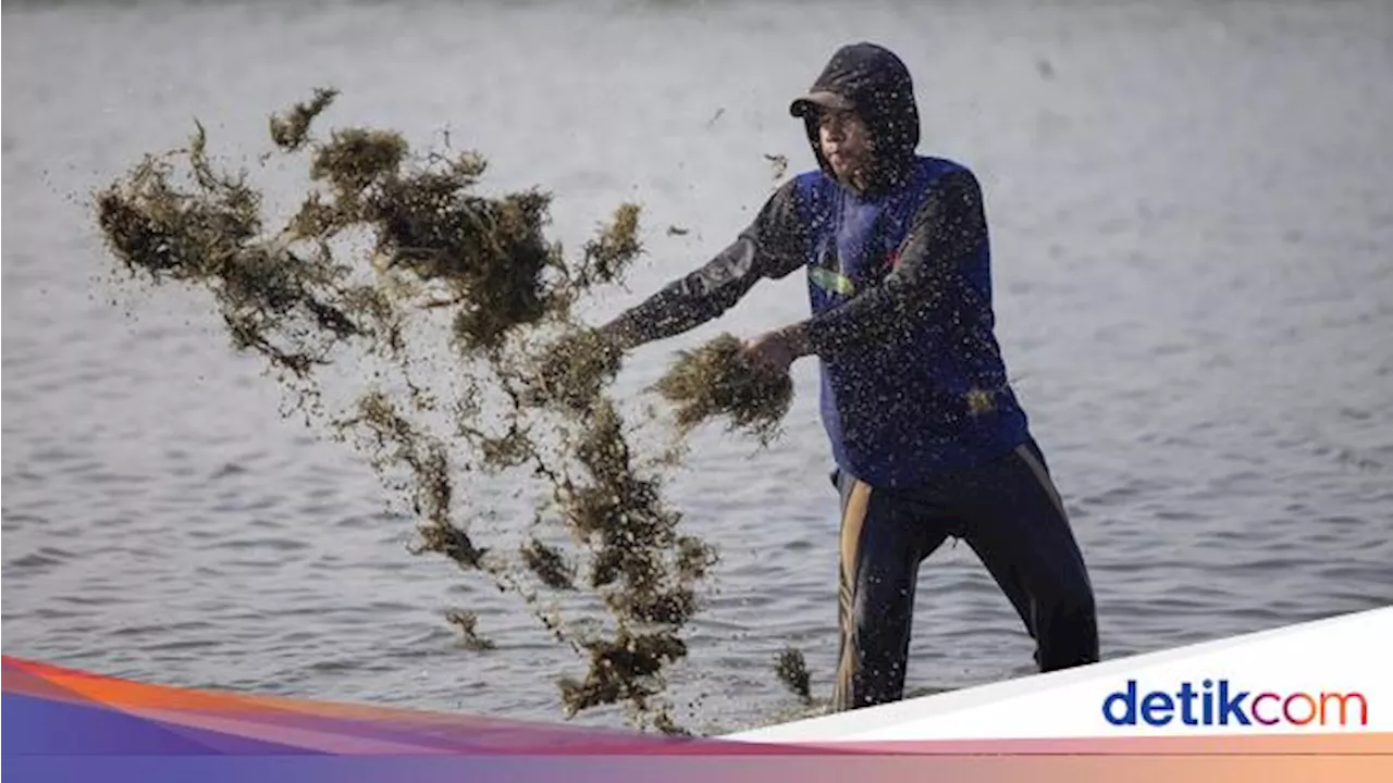 KKP Siapkan Peta Jalan Neraca Sumber Daya Laut untuk Ketahanan Pangan dan Ekonomi Laut