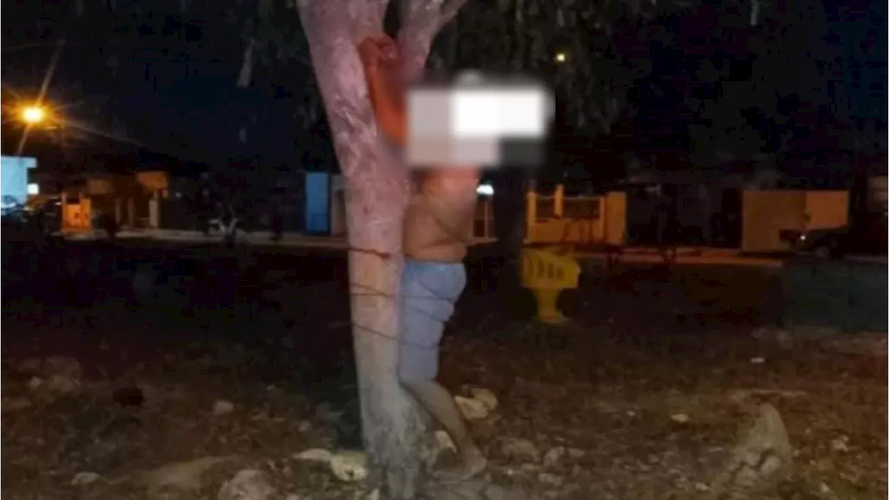 Vecinos de Umán, Yucatán, amarran a sujeto a un árbol; lo acusan de querer robar viviendas