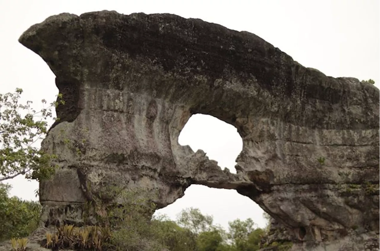 Guaviare, donde la selva y las piedras susurran historias